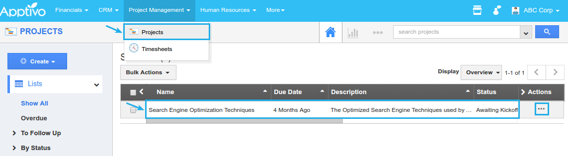 view the project details