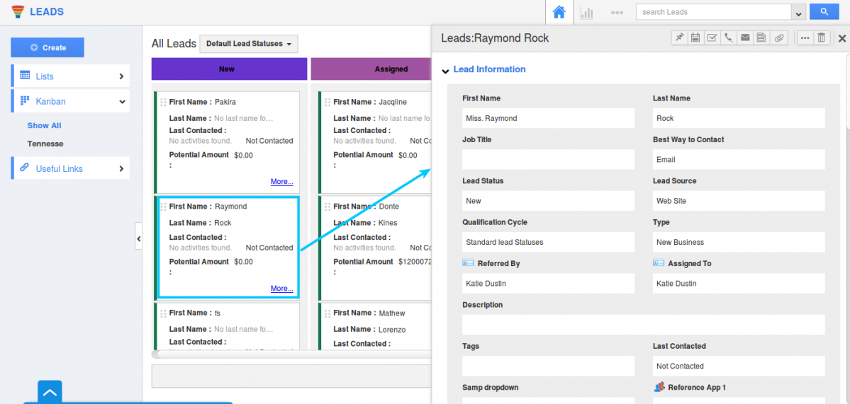 lead details