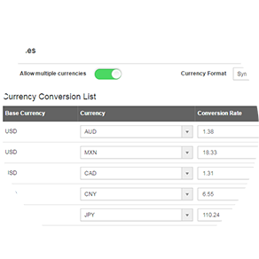 multi currency expense reporting