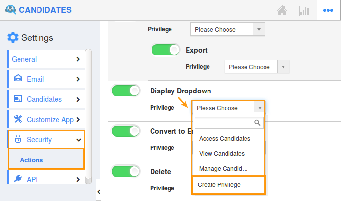 actions-display-dropdown