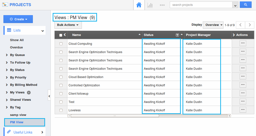 How do I Create Custom Views in the Projects App? Apptivo FAQ
