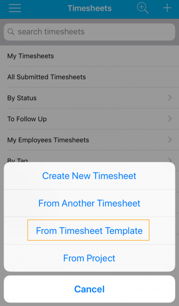 Timesheet from Template