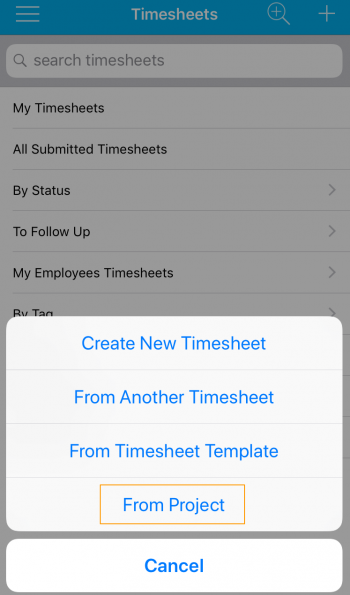 Timesheet From Project