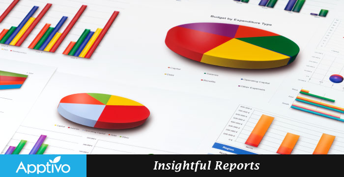 Insightful Reports
